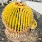 Apartman -montorian -lanzarote *
