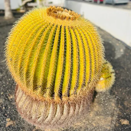 Lägenhet -montorian -lanzarote *